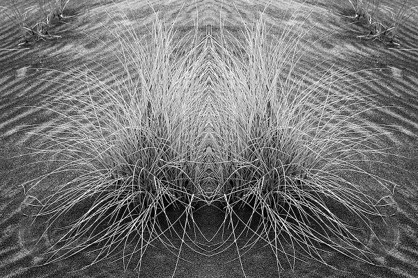 Jones, Adam 아티스트의 Grass pattern reflected and flipped-Bandon-Oregon작품입니다.